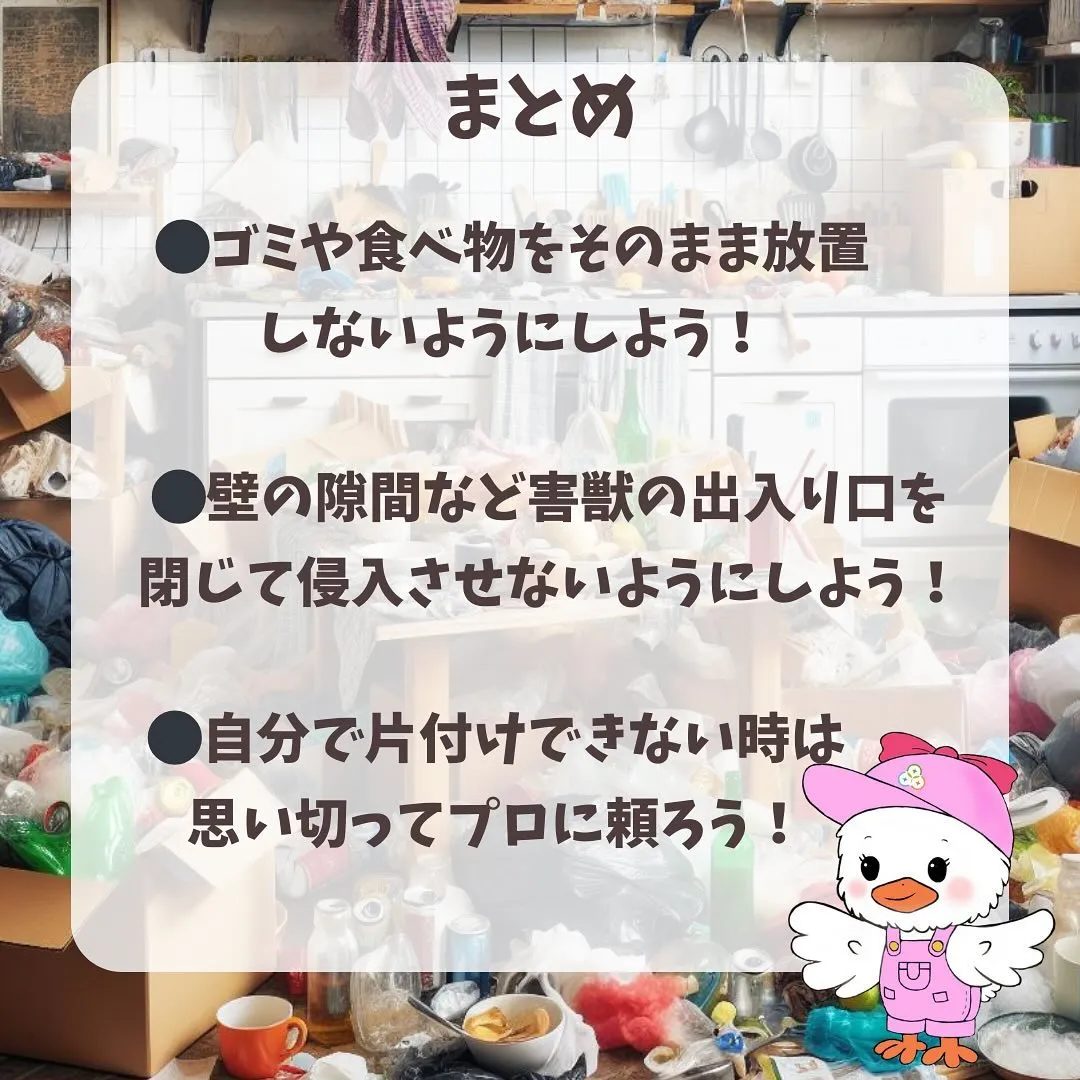 ネズミについてのdm質問にお答えします💡